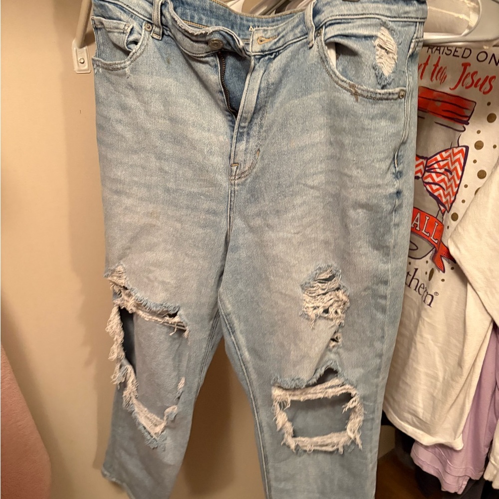 American Eagle Outfitters Light Blue Distressed Cropped Jeans